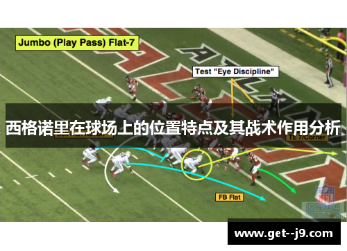 西格诺里在球场上的位置特点及其战术作用分析