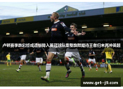 卢顿赛季跌宕终成遗憾降入英冠球队重整旗鼓期待王者归来再冲英超